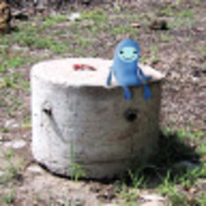 Meet your Posher, Bob